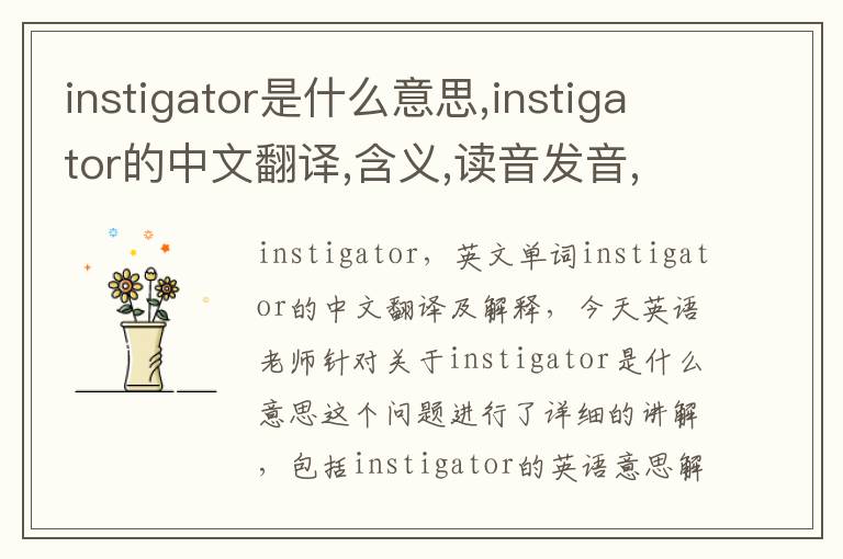 instigator是什么意思,instigator的中文翻译,含义,读音发音,用法,造句,参考例句