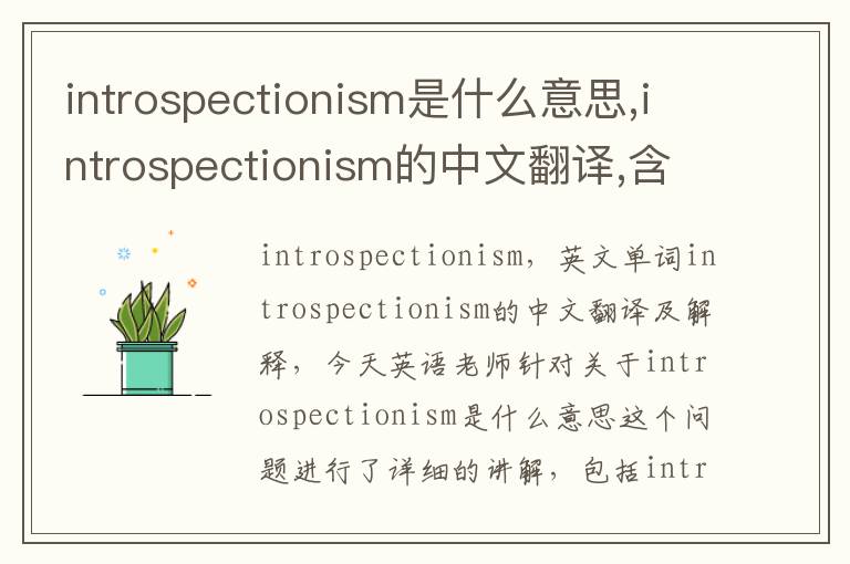 introspectionism是什么意思,introspectionism的中文翻译,含义,读音发音,用法,造句,参考例句