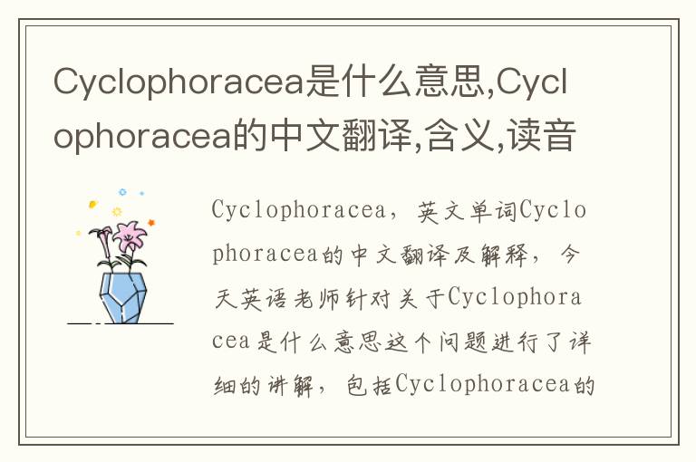 Cyclophoracea是什么意思,Cyclophoracea的中文翻译,含义,读音发音,用法,造句,参考例句