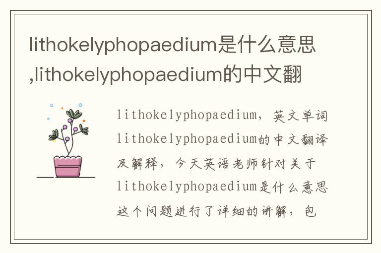 lithokelyphopaedium是什么意思,lithokelyphopaedium的中文翻译,含义,读音发音,用法,造句,参考例句