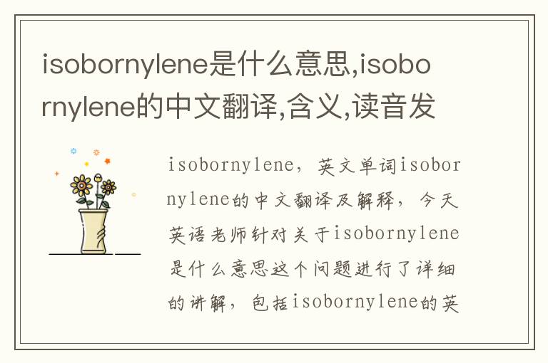 isobornylene是什么意思,isobornylene的中文翻译,含义,读音发音,用法,造句,参考例句