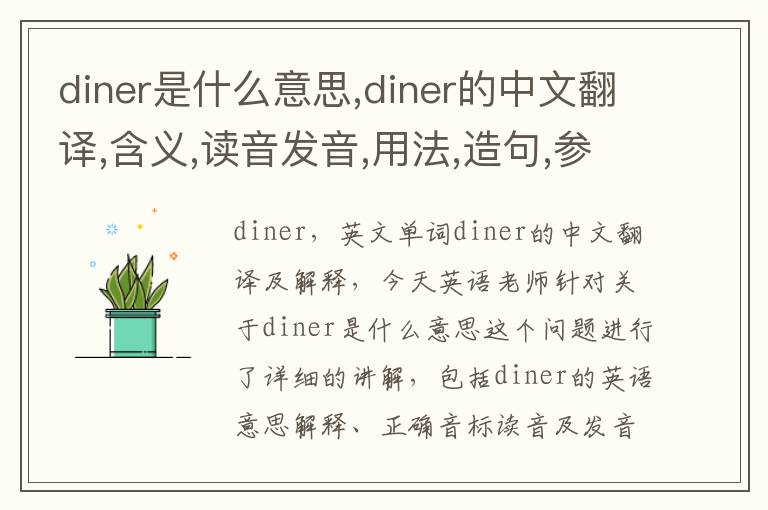 diner是什么意思,diner的中文翻译,含义,读音发音,用法,造句,参考例句