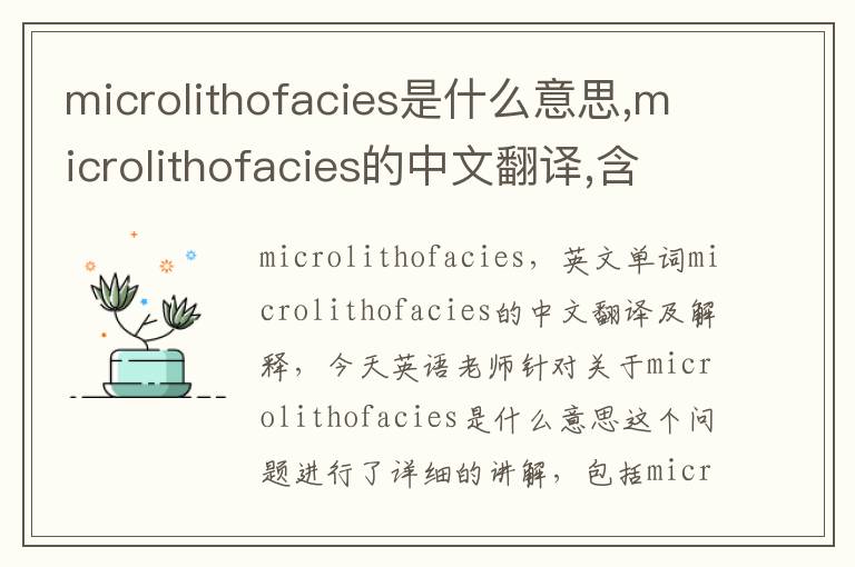 microlithofacies是什么意思,microlithofacies的中文翻译,含义,读音发音,用法,造句,参考例句