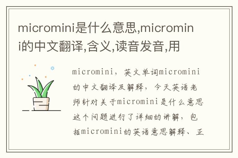 micromini是什么意思,micromini的中文翻译,含义,读音发音,用法,造句,参考例句