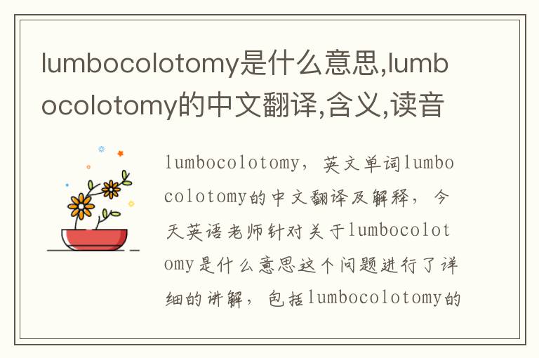 lumbocolotomy是什么意思,lumbocolotomy的中文翻译,含义,读音发音,用法,造句,参考例句