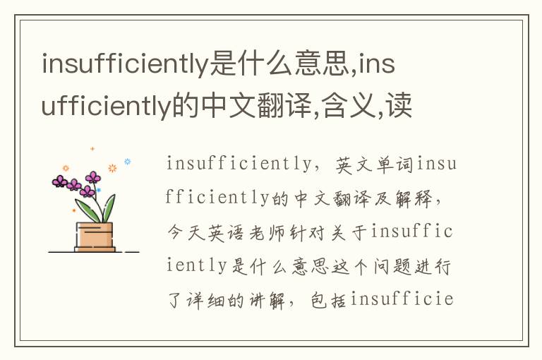 insufficiently是什么意思,insufficiently的中文翻译,含义,读音发音,用法,造句,参考例句