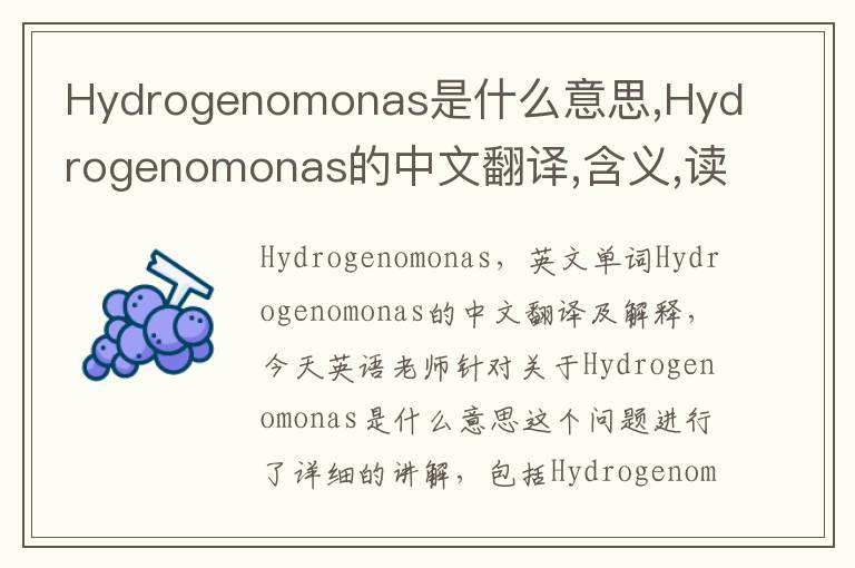 Hydrogenomonas是什么意思,Hydrogenomonas的中文翻译,含义,读音发音,用法,造句,参考例句