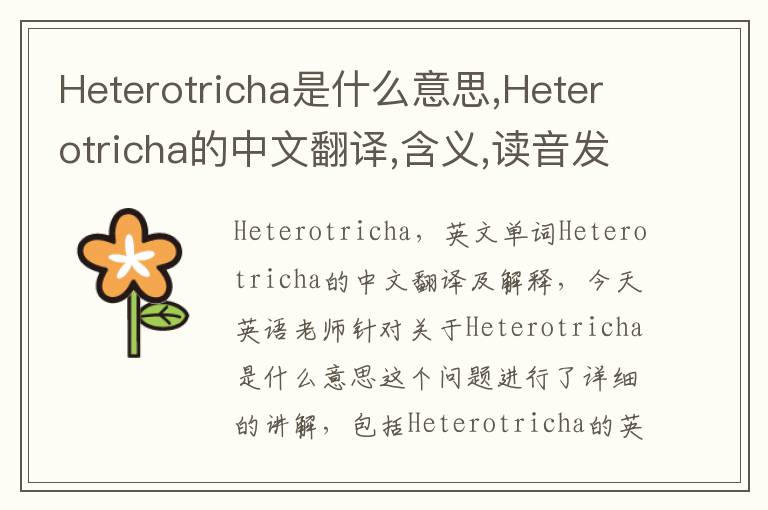 Heterotricha是什么意思,Heterotricha的中文翻译,含义,读音发音,用法,造句,参考例句