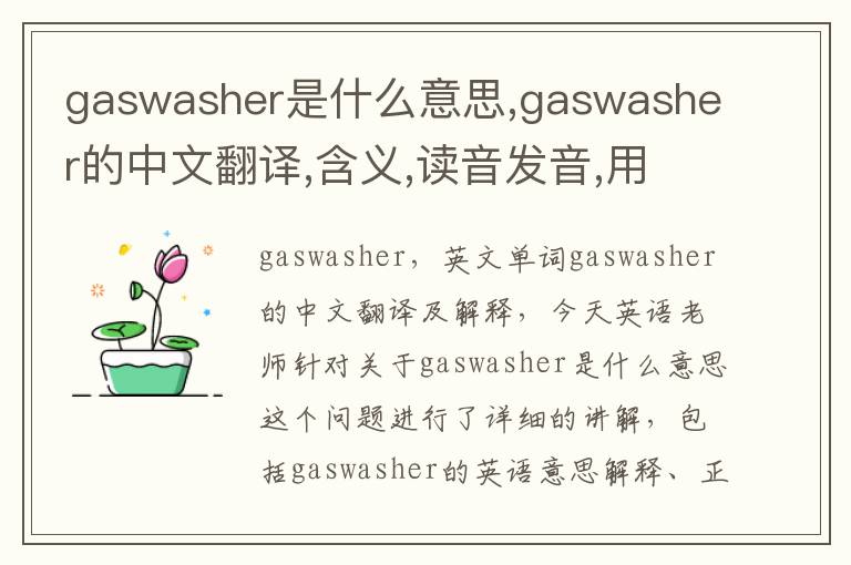 gaswasher是什么意思,gaswasher的中文翻译,含义,读音发音,用法,造句,参考例句