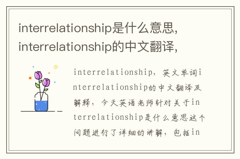 interrelationship是什么意思,interrelationship的中文翻译,含义,读音发音,用法,造句,参考例句