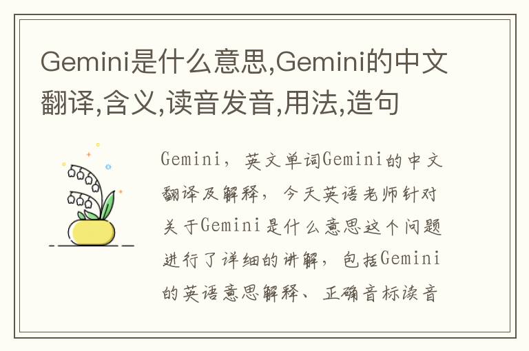 Gemini是什么意思,Gemini的中文翻译,含义,读音发音,用法,造句,参考例句