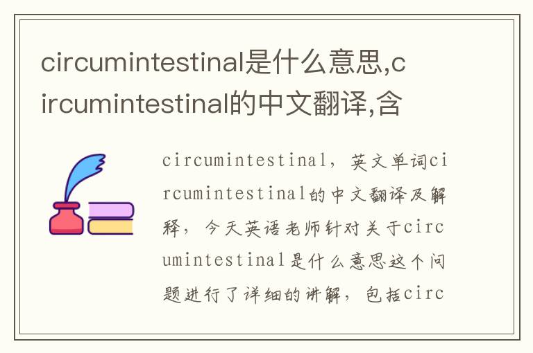 circumintestinal是什么意思,circumintestinal的中文翻译,含义,读音发音,用法,造句,参考例句