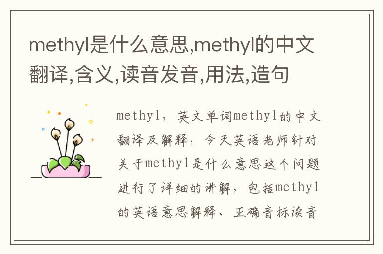 methyl是什么意思,methyl的中文翻译,含义,读音发音,用法,造句,参考例句