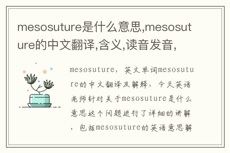 mesosuture是什么意思,mesosuture的中文翻译,含义,读音发音,用法,造句,参考例句