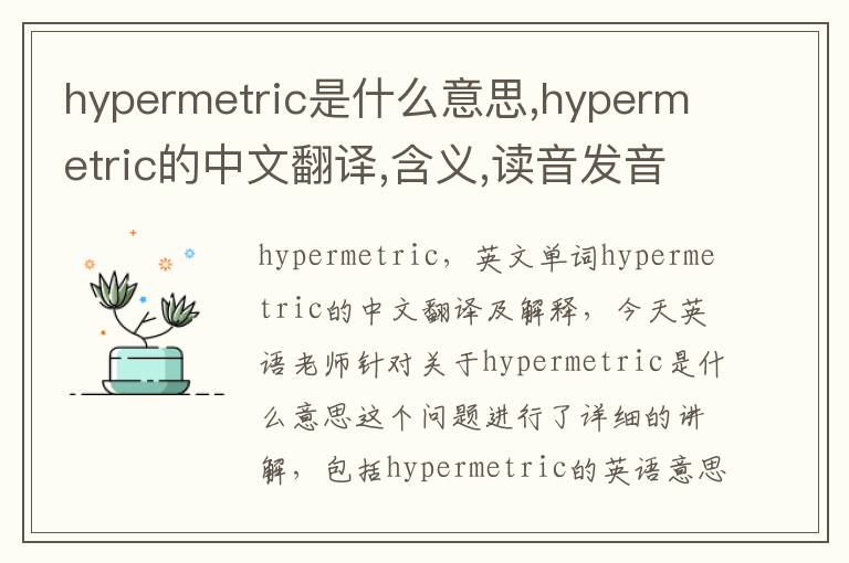 hypermetric是什么意思,hypermetric的中文翻译,含义,读音发音,用法,造句,参考例句