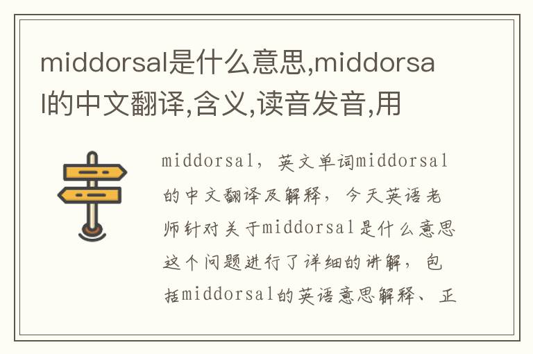 middorsal是什么意思,middorsal的中文翻译,含义,读音发音,用法,造句,参考例句