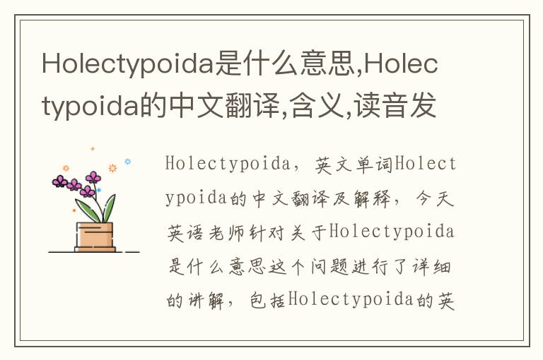 Holectypoida是什么意思,Holectypoida的中文翻译,含义,读音发音,用法,造句,参考例句