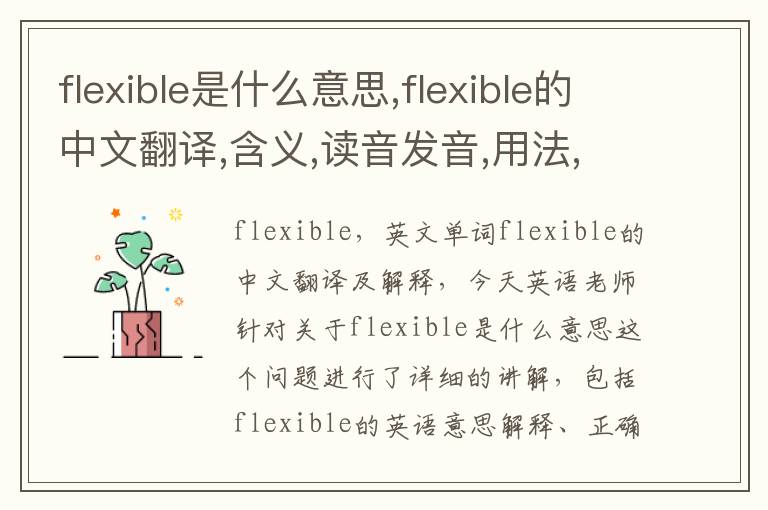 flexible是什么意思,flexible的中文翻译,含义,读音发音,用法,造句,参考例句