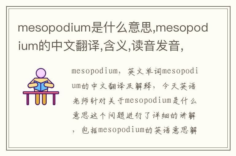 mesopodium是什么意思,mesopodium的中文翻译,含义,读音发音,用法,造句,参考例句