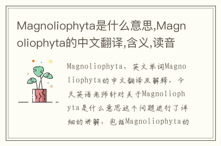 Magnoliophyta是什么意思,Magnoliophyta的中文翻译,含义,读音发音,用法,造句,参考例句