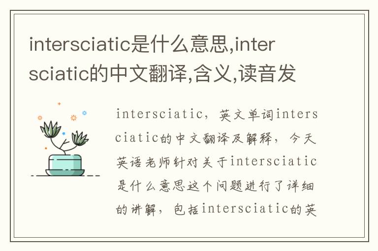 intersciatic是什么意思,intersciatic的中文翻译,含义,读音发音,用法,造句,参考例句