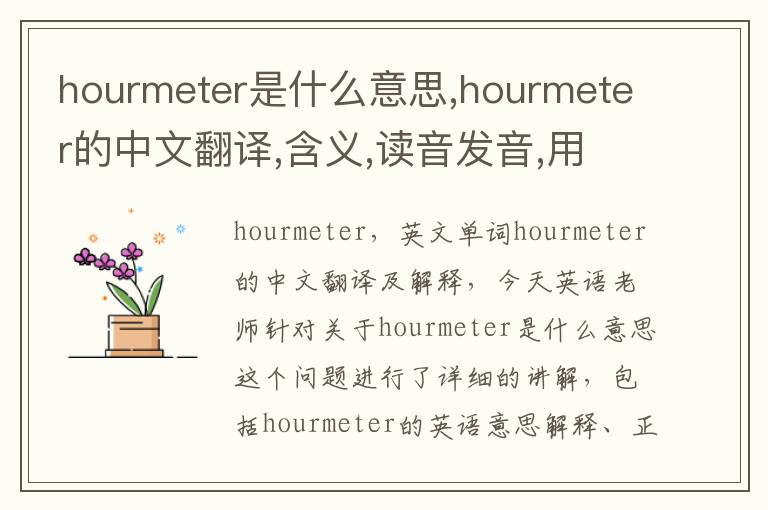 hourmeter是什么意思,hourmeter的中文翻译,含义,读音发音,用法,造句,参考例句