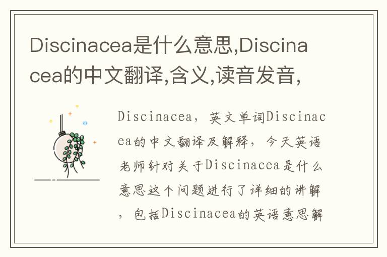 Discinacea是什么意思,Discinacea的中文翻译,含义,读音发音,用法,造句,参考例句