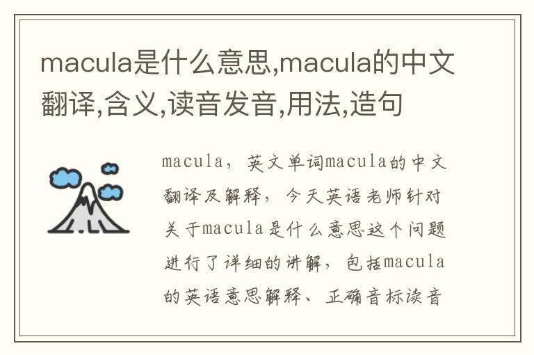 macula是什么意思,macula的中文翻译,含义,读音发音,用法,造句,参考例句