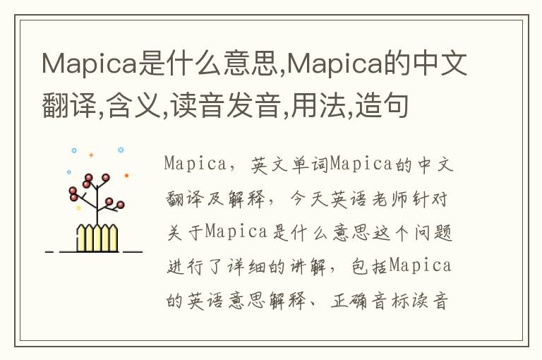 Mapica是什么意思,Mapica的中文翻译,含义,读音发音,用法,造句,参考例句