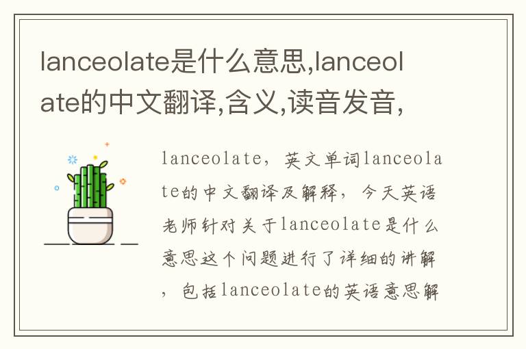 lanceolate是什么意思,lanceolate的中文翻译,含义,读音发音,用法,造句,参考例句