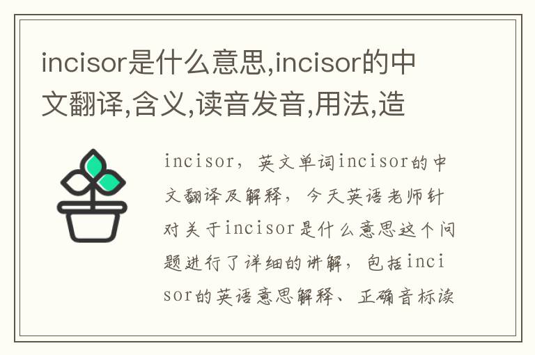 incisor是什么意思,incisor的中文翻译,含义,读音发音,用法,造句,参考例句