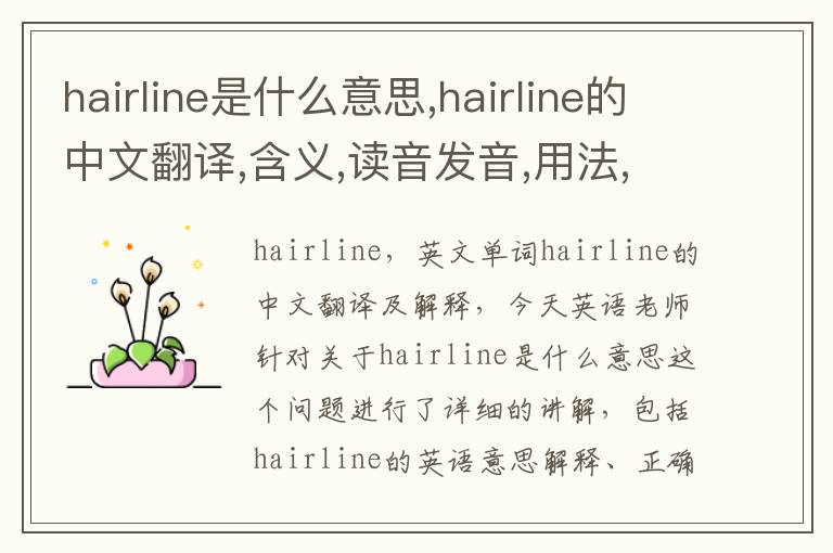 hairline是什么意思,hairline的中文翻译,含义,读音发音,用法,造句,参考例句