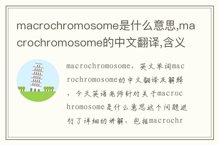 macrochromosome是什么意思,macrochromosome的中文翻译,含义,读音发音,用法,造句,参考例句