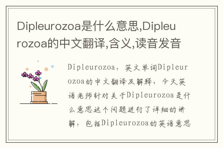 Dipleurozoa是什么意思,Dipleurozoa的中文翻译,含义,读音发音,用法,造句,参考例句