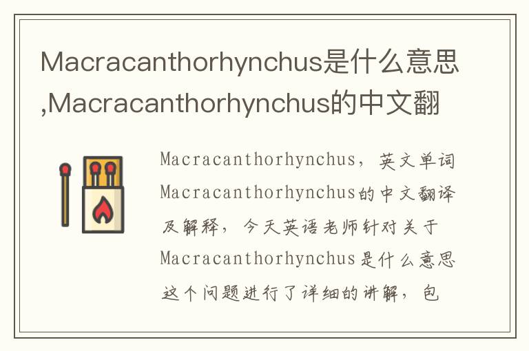 Macracanthorhynchus是什么意思,Macracanthorhynchus的中文翻译,含义,读音发音,用法,造句,参考例句