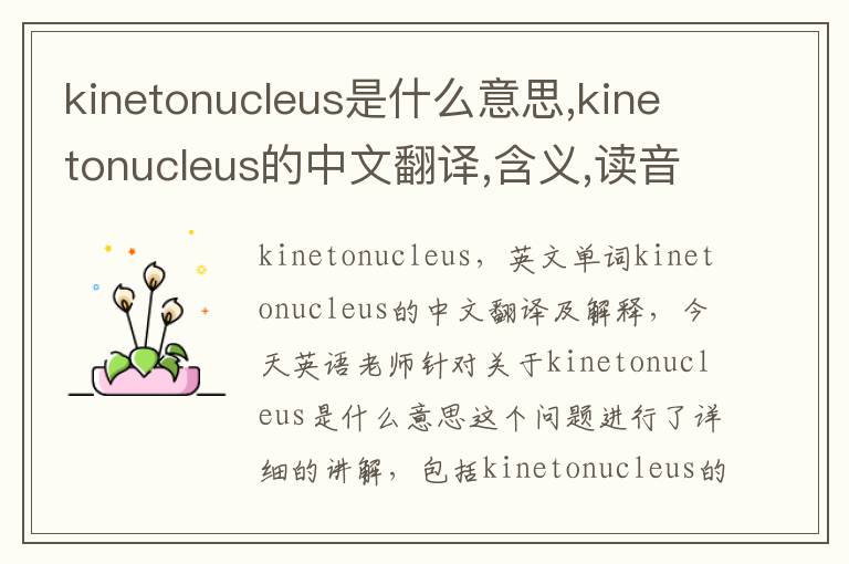 kinetonucleus是什么意思,kinetonucleus的中文翻译,含义,读音发音,用法,造句,参考例句