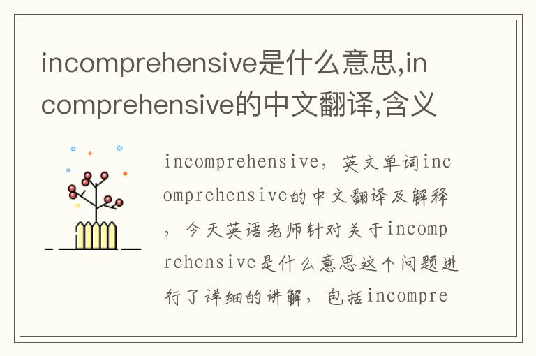 incomprehensive是什么意思,incomprehensive的中文翻译,含义,读音发音,用法,造句,参考例句