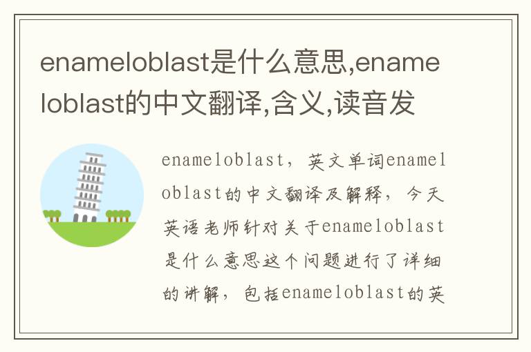 enameloblast是什么意思,enameloblast的中文翻译,含义,读音发音,用法,造句,参考例句