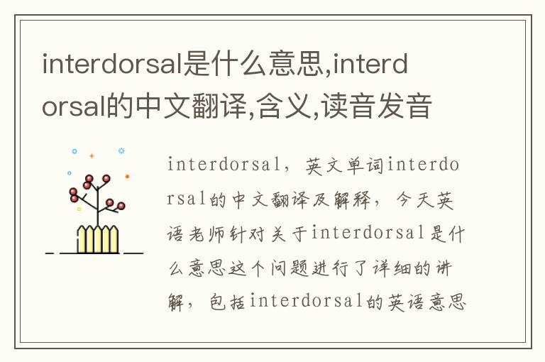 interdorsal是什么意思,interdorsal的中文翻译,含义,读音发音,用法,造句,参考例句