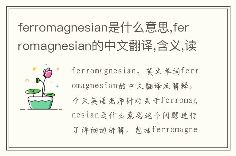 ferromagnesian是什么意思,ferromagnesian的中文翻译,含义,读音发音,用法,造句,参考例句