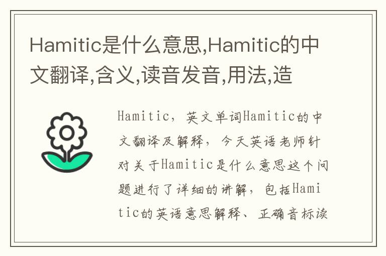 Hamitic是什么意思,Hamitic的中文翻译,含义,读音发音,用法,造句,参考例句