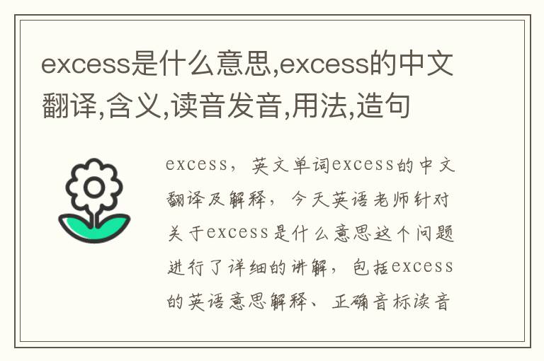 excess是什么意思,excess的中文翻译,含义,读音发音,用法,造句,参考例句