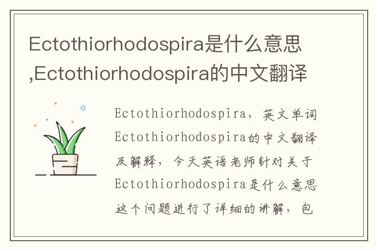 Ectothiorhodospira是什么意思,Ectothiorhodospira的中文翻译,含义,读音发音,用法,造句,参考例句