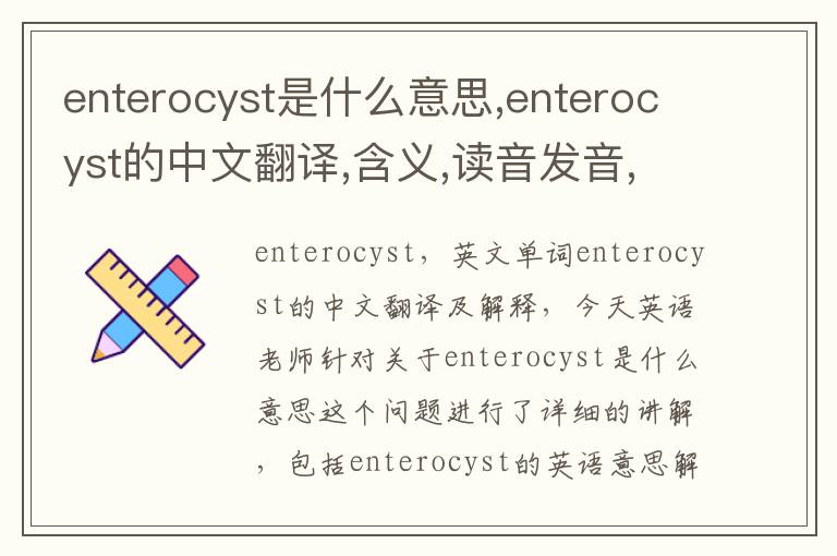 enterocyst是什么意思,enterocyst的中文翻译,含义,读音发音,用法,造句,参考例句