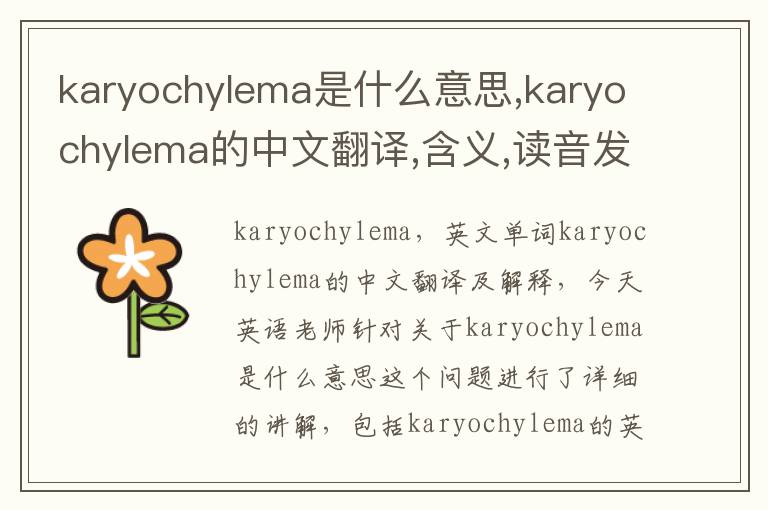 karyochylema是什么意思,karyochylema的中文翻译,含义,读音发音,用法,造句,参考例句