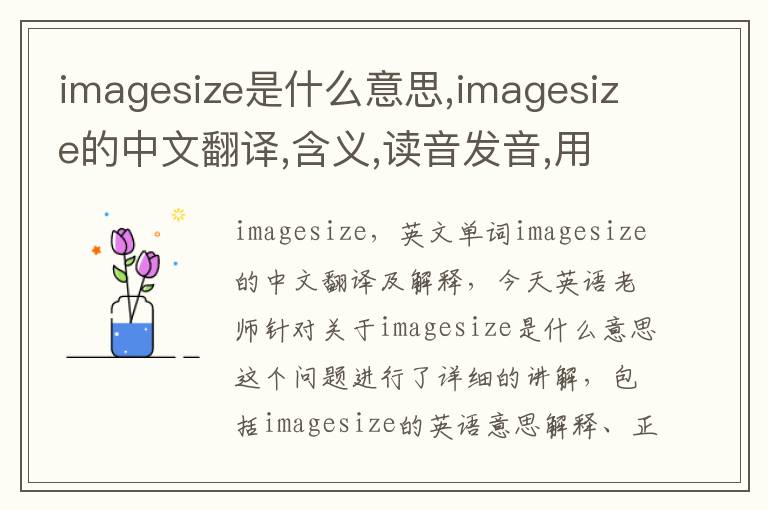 imagesize是什么意思,imagesize的中文翻译,含义,读音发音,用法,造句,参考例句