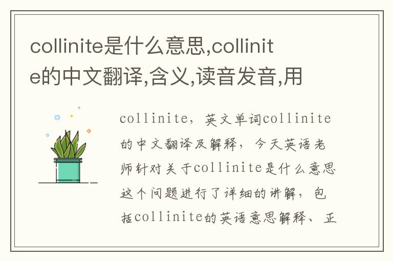 collinite是什么意思,collinite的中文翻译,含义,读音发音,用法,造句,参考例句