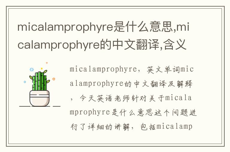 micalamprophyre是什么意思,micalamprophyre的中文翻译,含义,读音发音,用法,造句,参考例句