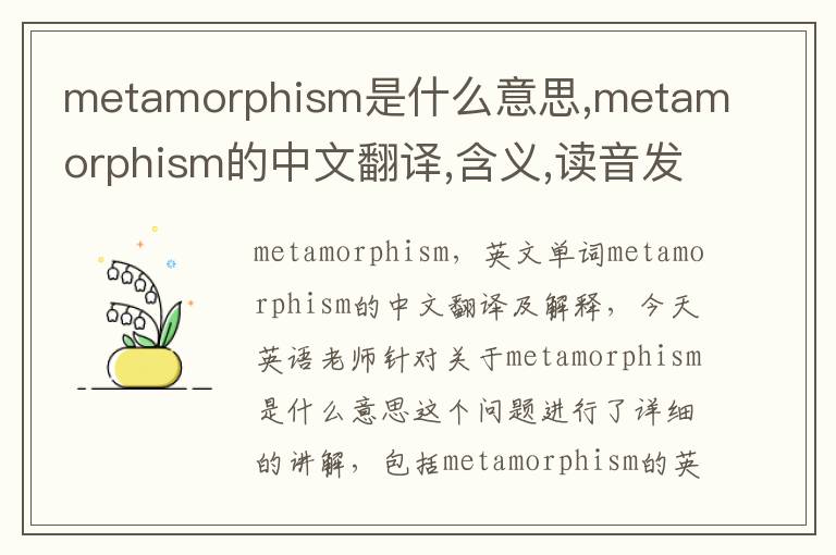 metamorphism是什么意思,metamorphism的中文翻译,含义,读音发音,用法,造句,参考例句