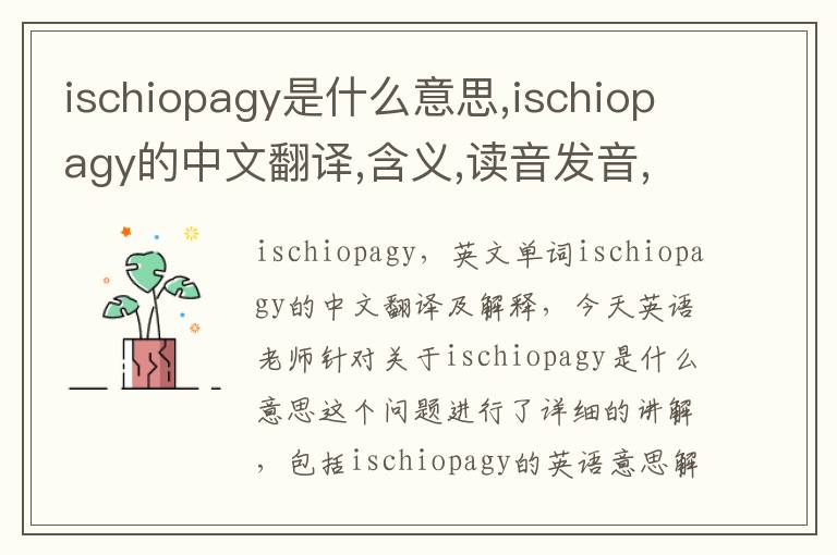 ischiopagy是什么意思,ischiopagy的中文翻译,含义,读音发音,用法,造句,参考例句